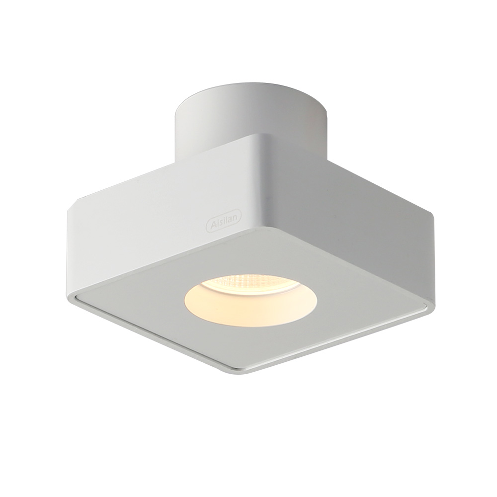 Dropnier recessed Downlight